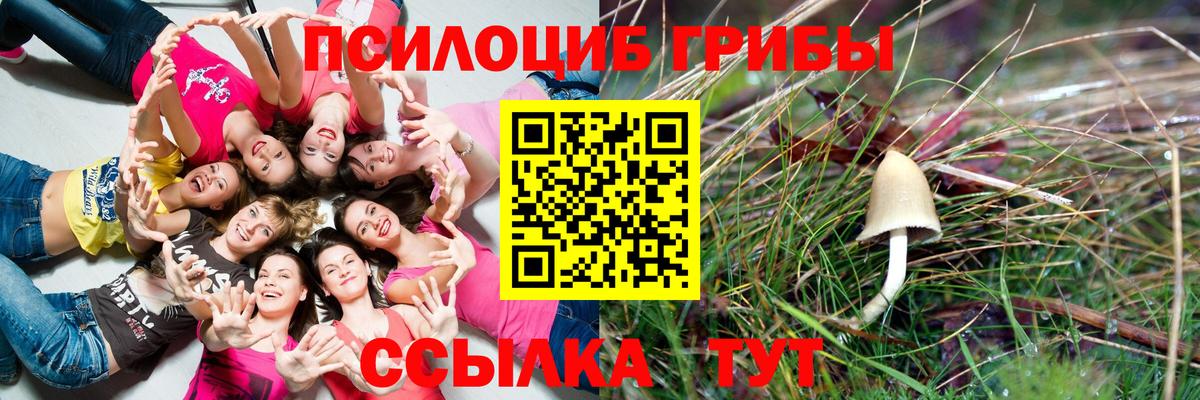 Кудрово  что такое наркотик  Вход с VPN  Галлюциногенные грибы Magic Shrooms 
